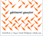 gauster_ff
